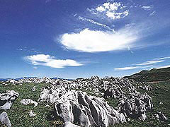 �y�G�[�XJTB�E�������s�z���Q�c�A�[�E���Q�̗��فE�z�e���\��@